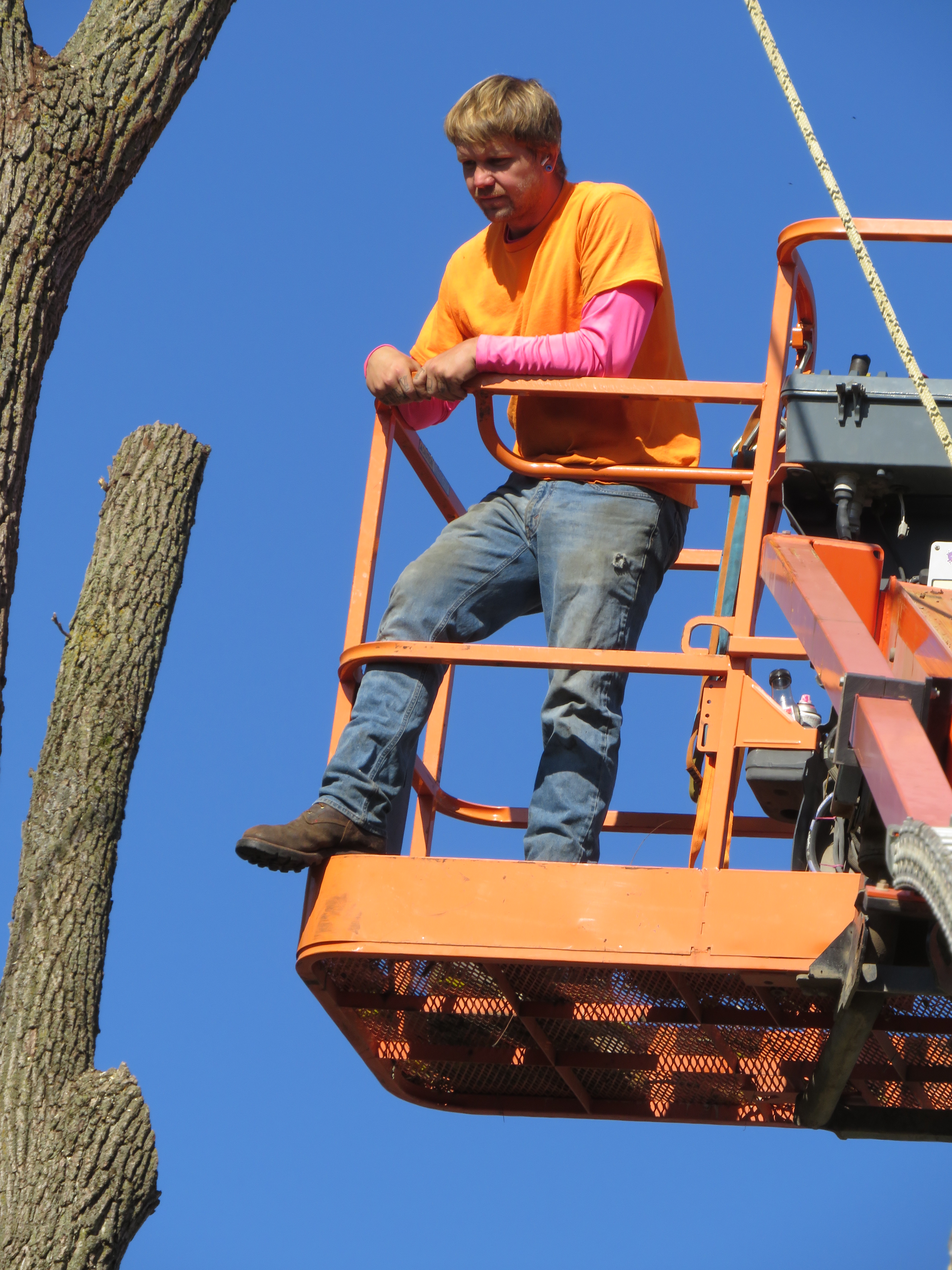 About our services. – Black Sheep Logging